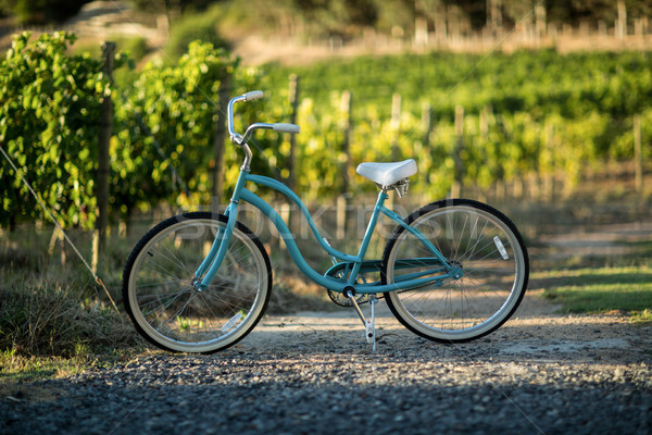 Bicycle on field Stock photo © wavebreak_media