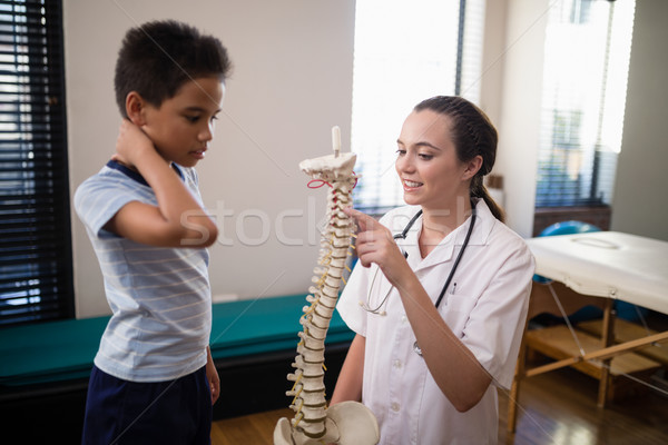 Homme thérapeute pointant artificielle colonne vertébrale [[stock_photo]] © wavebreak_media