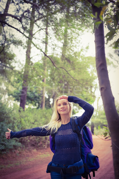 Pretty hitchhiker sticking thumb out Stock photo © wavebreak_media