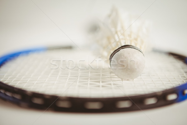 View of badminton racket and shuttlecock  Stock photo © wavebreak_media