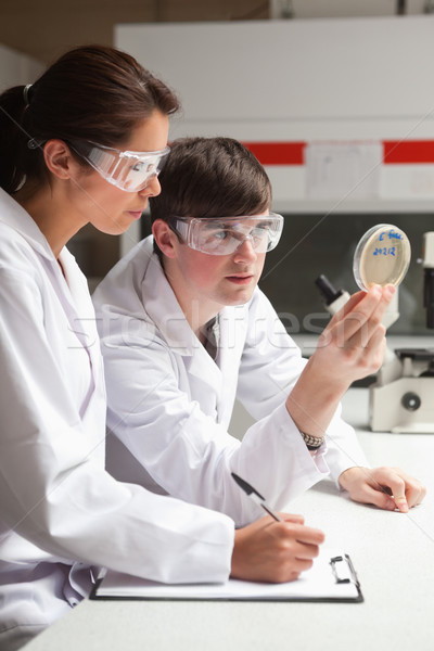 Foto stock: Retrato · centrado · estudiantes · ciencia · mirando · plato