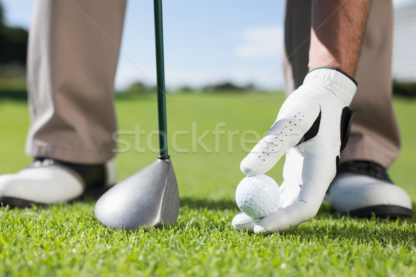 Golfer placing golf ball on tee Stock photo © wavebreak_media