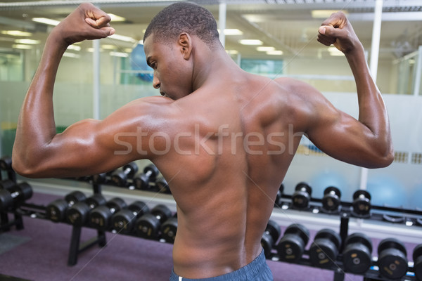 ストックフォト: シャツを着ていない · 筋肉の · 男 · 筋肉 · ジム · 背面図