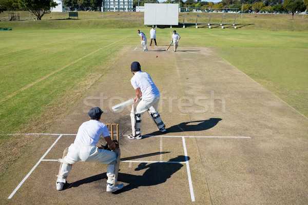 Ver críquete combinar campo Foto stock © wavebreak_media