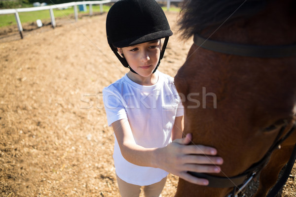 Stock photo: Girl caressing the white horse in the ranch