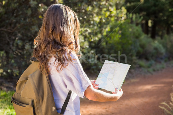 Foto stock: Morena · andarilho · leitura · mapa · natureza · mulher