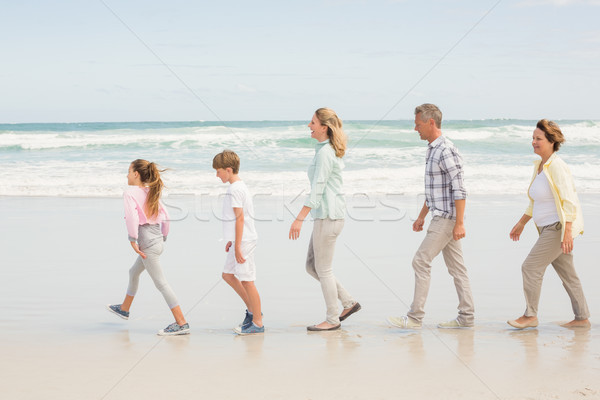 Multi generation family standing beside one another Stock photo © wavebreak_media