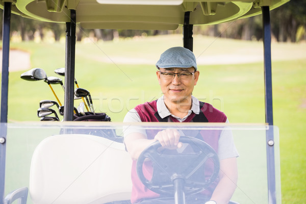 Golfista guida golf albero uomo sport Foto d'archivio © wavebreak_media