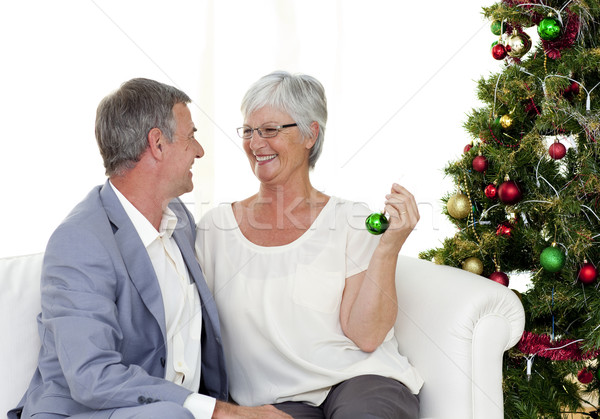 Stockfoto: Volwassen · paar · vergadering · sofa · kerstboom · familie