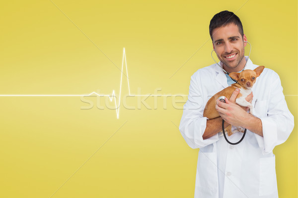 Composite image of vet holding chihuahua Stock photo © wavebreak_media