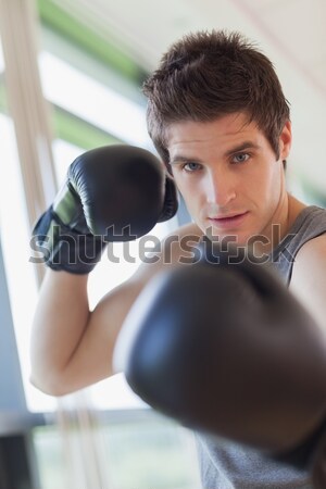 Determinado masculina boxeador centrado formación Foto stock © wavebreak_media