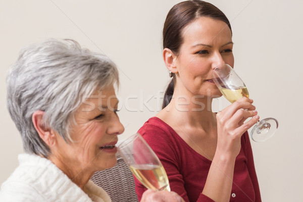 Portré nők iszik pezsgő otthon nappali Stock fotó © wavebreak_media