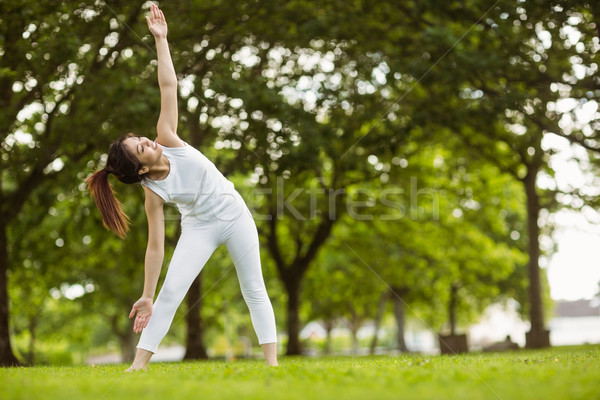 Kobieta parku młoda kobieta trawy Zdjęcia stock © wavebreak_media