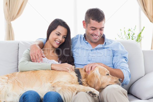 Couple stroking Golden Retriever on sofa Stock photo © wavebreak_media
