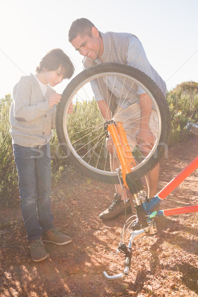 Filho pai bicicleta juntos homem Foto stock © wavebreak_media