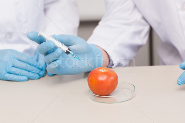рабочих томатный лаборатория женщину технологий Сток-фото © wavebreak_media