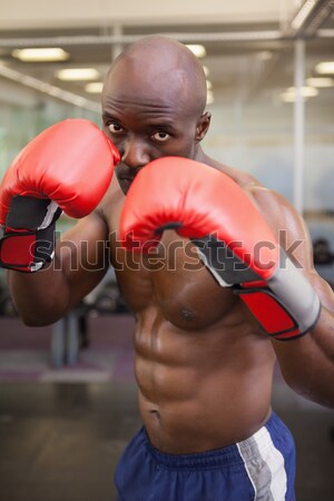 Jovem musculação olhando sério câmera crossfit Foto stock © wavebreak_media