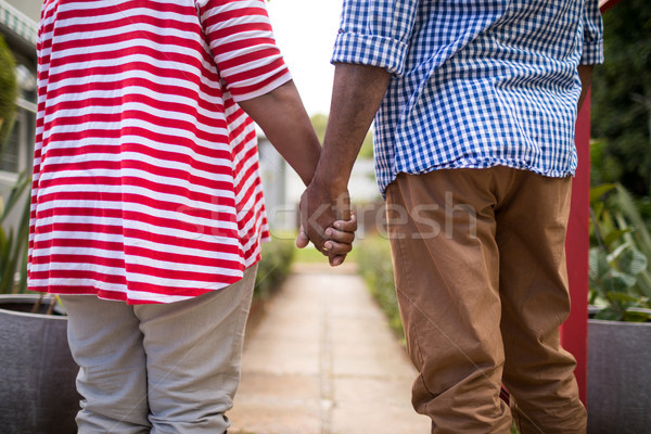 Idős pár kéz a kézben pár áll nő szeretet Stock fotó © wavebreak_media
