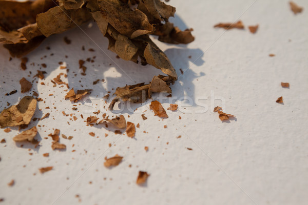 Stock photo: Dried autumn leave