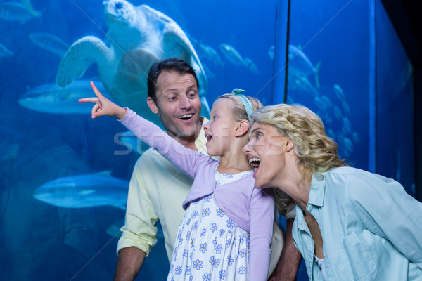 Happy family looking at the fish tank Stock photo © wavebreak_media