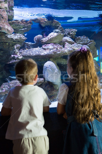 Küçük kardeşler bakıyor balık tank akvaryum Stok fotoğraf © wavebreak_media