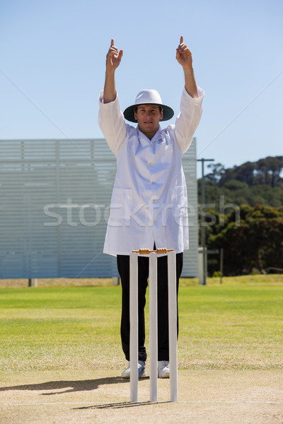 Cricket umpire signalling six runs during match Stock photo © wavebreak_media
