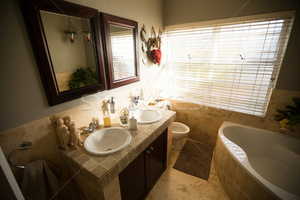 Interior of domestic bathroom Stock photo © wavebreak_media