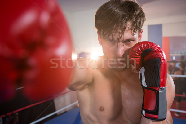 Portrait of young male boxer practicing in boxing ring Stock photo © wavebreak_media