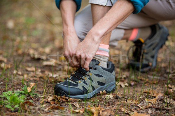 Női természetjáró cipőfűző kint erdő természet Stock fotó © wavebreak_media