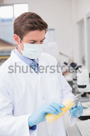 élégant Homme scientifique microscope laboratoire médecin [[stock_photo]] © wavebreak_media