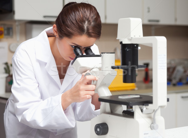Femenino ciencia estudiante mirando microscopio laboratorio Foto stock © wavebreak_media