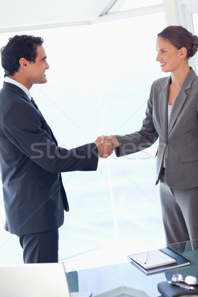 Side view of young business partner agreeing on a deal Stock photo © wavebreak_media