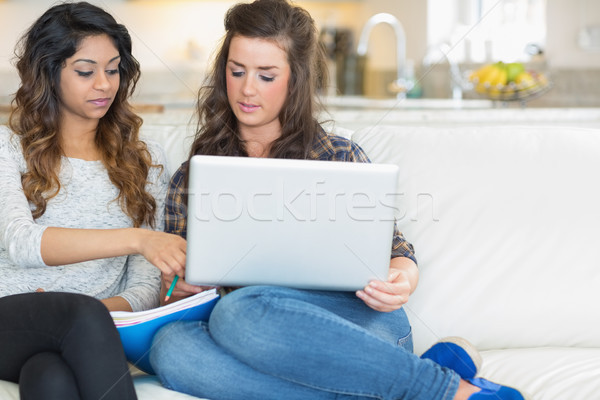 Stock fotó: Kettő · lányok · néz · laptop · kanapé · nappali