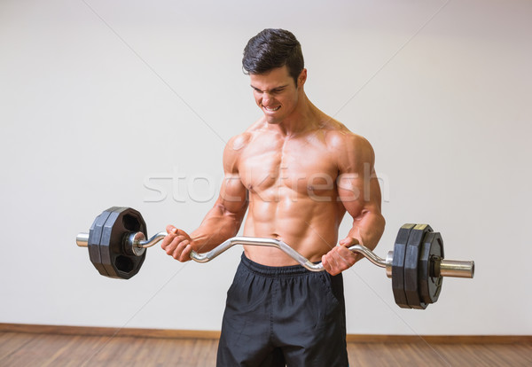 Sem camisa muscular homem barbell ginásio Foto stock © wavebreak_media
