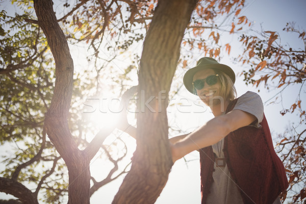 Low angle portrait of smiling man standing on tree Stock photo © wavebreak_media