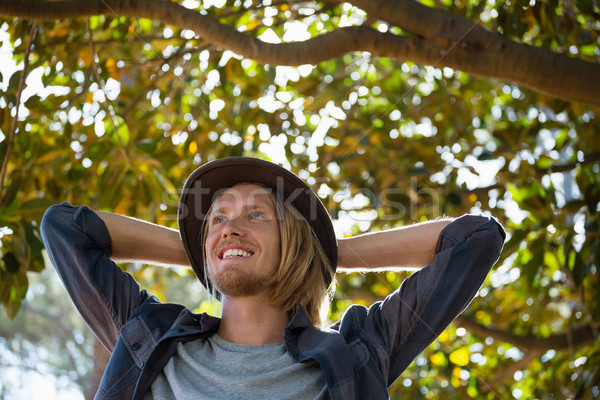 Homem relaxante mãos atrás cabeça parque Foto stock © wavebreak_media