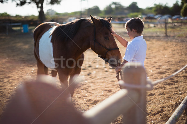 Stock photo: Rider boy caressing a horse in the ranch