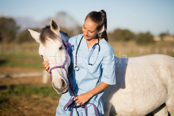 Homme vétérinaire cheval permanent ranch femme [[stock_photo]] © wavebreak_media