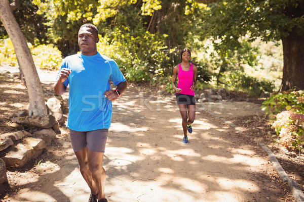 Couple courir ensemble parc arbre herbe [[stock_photo]] © wavebreak_media