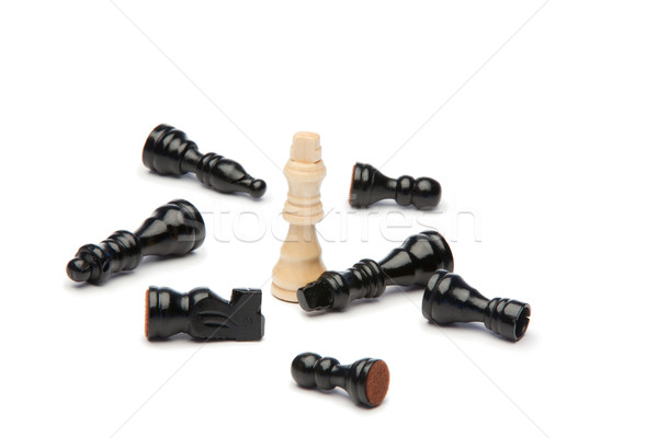 Beyaz kral karanlık parçalar satranç spor Stok fotoğraf © wavebreak_media