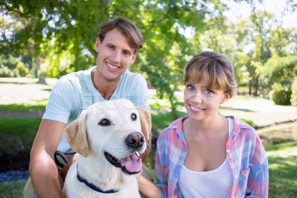 Cute couple with their labrador dog in the park Stock photo © wavebreak_media