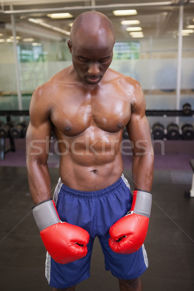 Foto stock: Muscular · boxeador · saúde · clube · sem · camisa · em · pé