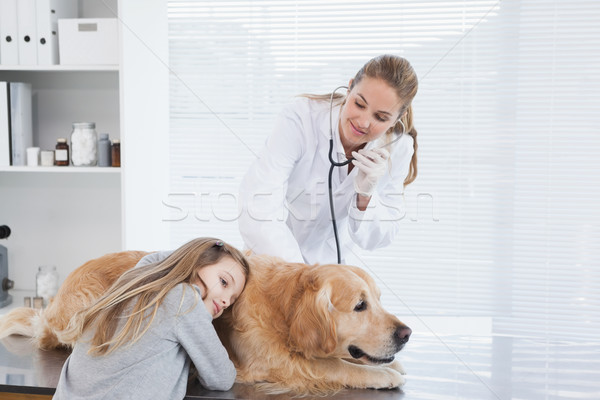 Stock fotó: Boldog · állatorvos · labrador · nő · orvosi · gyermek