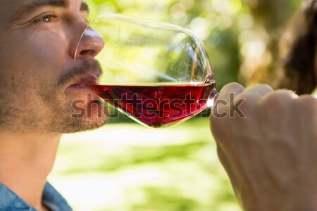 Vintner smelling glass of wine Stock photo © wavebreak_media
