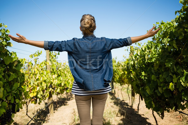 Rear view of vintner standing with arms outstretched in vineyard Stock photo © wavebreak_media