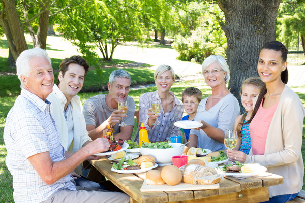 Famiglia felice picnic parco donna ragazza Foto d'archivio © wavebreak_media