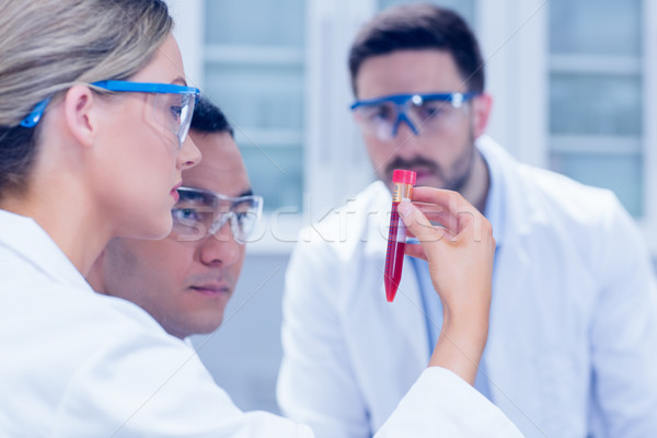 Science students working together in the lab Stock photo © wavebreak_media