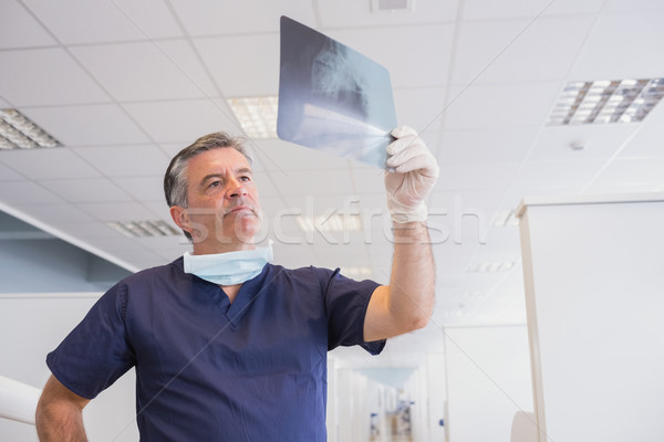 Dentist examining a x-ray attentively Stock photo © wavebreak_media
