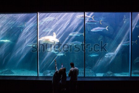 Happy family looking at fish tank Stock photo © wavebreak_media