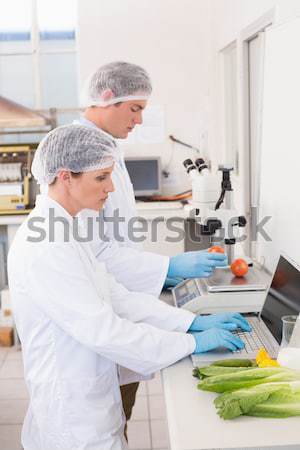 кукурузы блюдо лаборатория женщину технологий Сток-фото © wavebreak_media